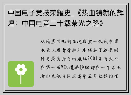 中国电子竞技荣耀史_《热血铸就的辉煌：中国电竞二十载荣光之路》