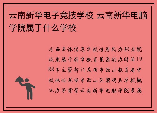 云南新华电子竞技学校 云南新华电脑学院属于什么学校